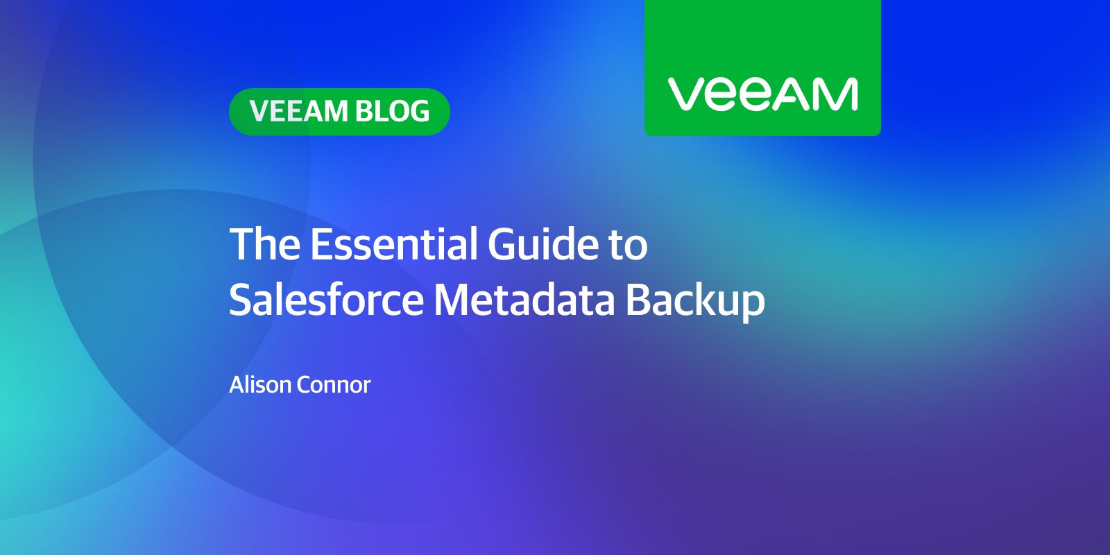 The Essential Guide to Salesforce Metadata Backup