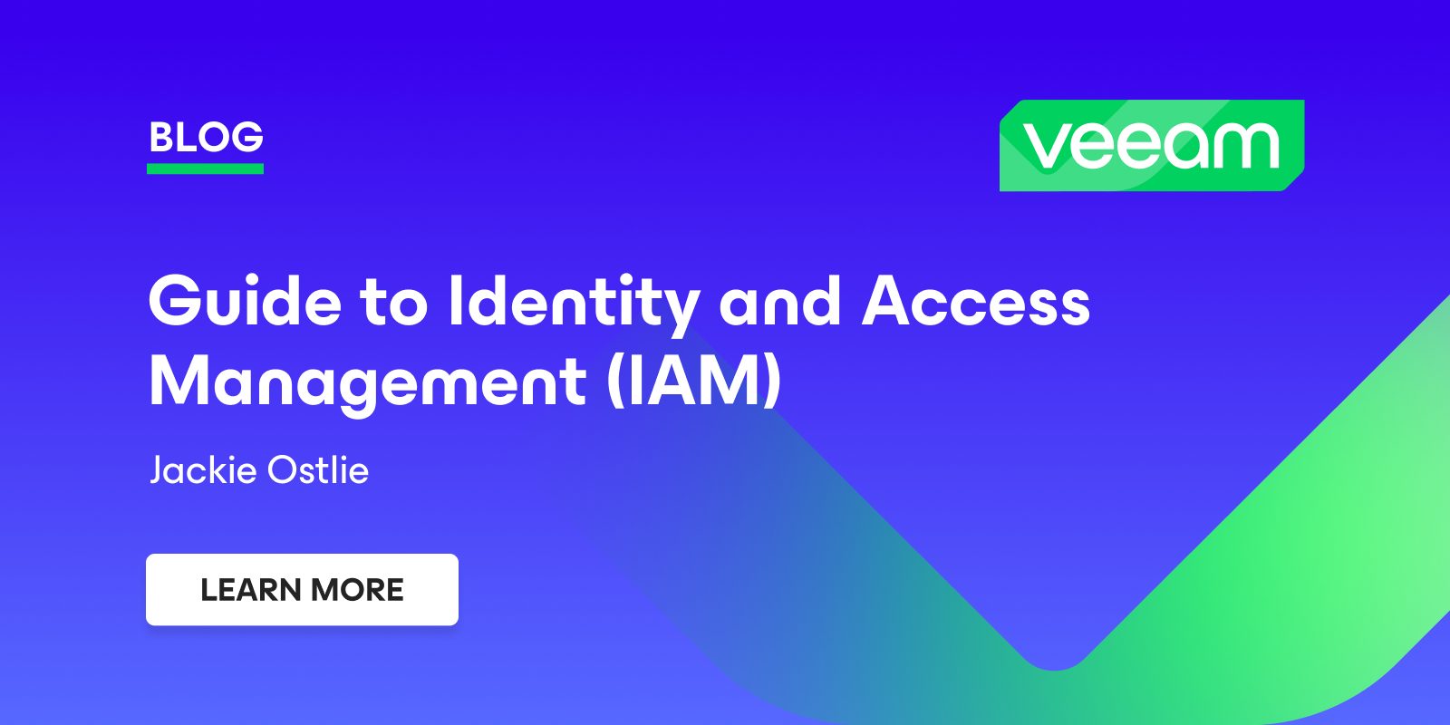 Guide to Identity and Access Management (IAM)